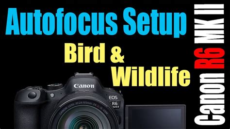 Canon R Mk Ii Autofocus Setup And Button Layout For Bird And