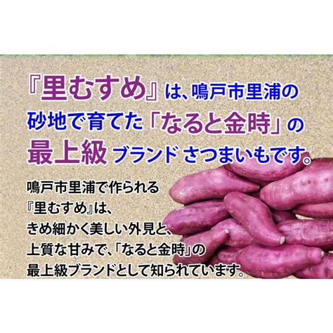 ギフト さつまいも なると金時 里むすめ 秀品 生芋 2sサイズ 約60g〜90g 約56〜84本 鳴戸市里浦 産地直送 5kg×1箱 鳴門