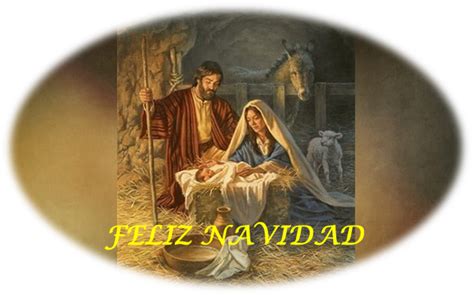 Martes De Diciembre San Juan Evangelista Octava De Navidad San