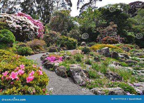 The Rock Garden At Christchurch Botanical Gardens Stock Photo Image