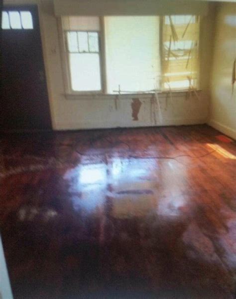 how to get dog urine odor out of hardwood floors 1