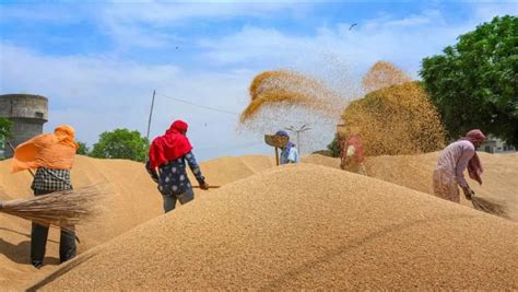 Wheat Output Record Million Tonnes In Season Crop Year July