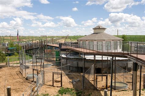 The Wild Animal Sanctuary Keenesburg Co The Facilities