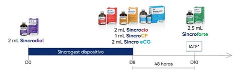 Artigos Iatf O Que Necess Rio Para O Sucesso Da T Cnica