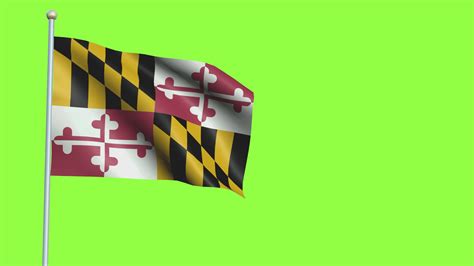 Maryland Flag Stock Video Footage for Free Download