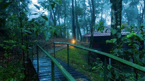 SelfRoadiez | Top 7 Jungle Lodges And Resorts In South India