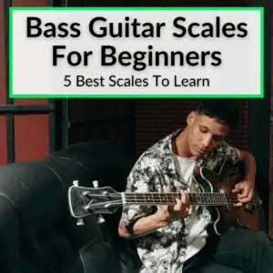 Bass Guitar Scales For Beginners (5 Best Scales To Learn)