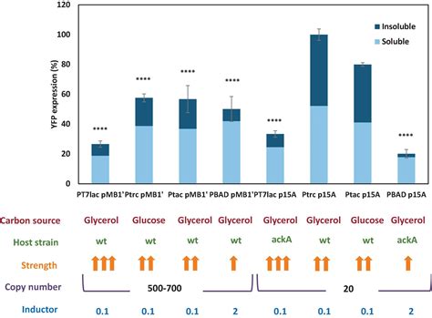 Frontiers Impact Of The Expression System On Recombinant Protein