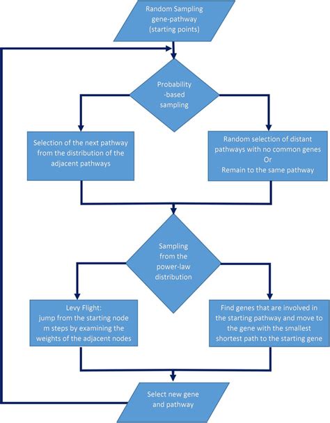 Irb Process Flowchart The American University Of Iraq 41 Off