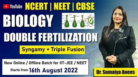 Double Fertilization Sexual Reproduction In Flowering Plants Neet