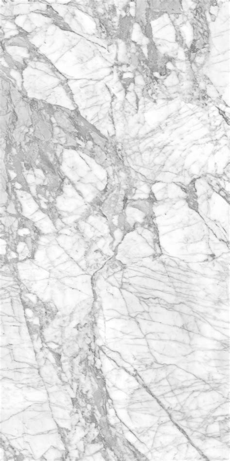 Carrara High Resolution Texture Images Texture Images Wood Texture