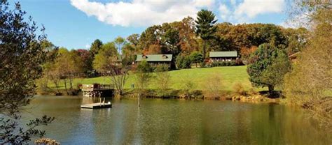 Pet Friendly Asheville, NC - A City Guide - Jet Set Pets