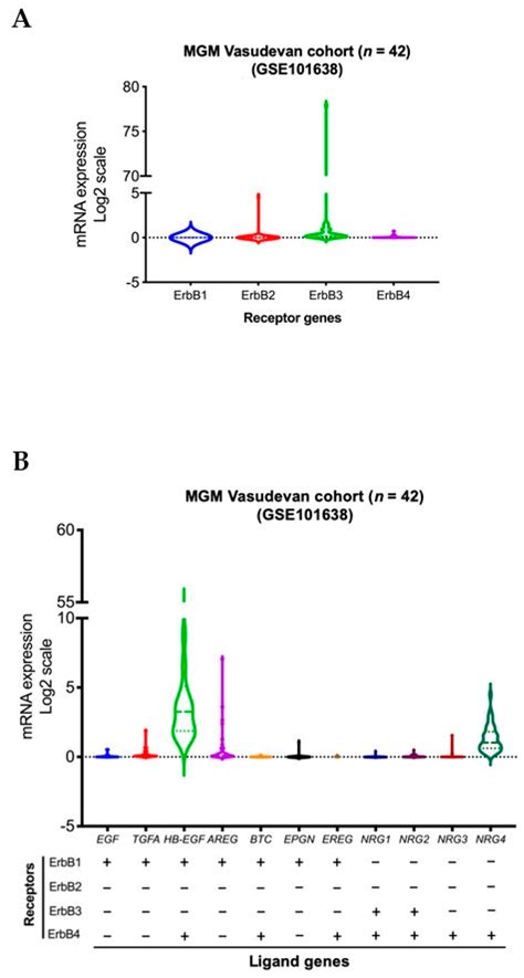 Ijms Free Full Text Receptor Tyrosine Kinases As Candidate