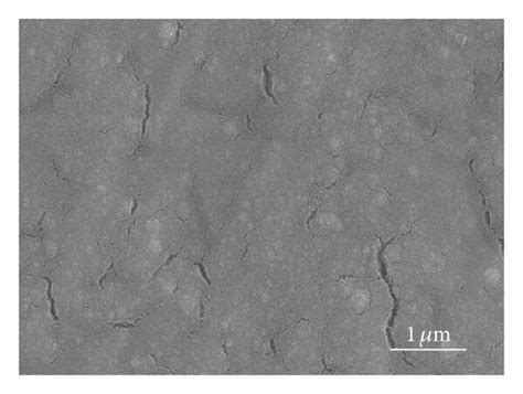 Sem Micrographs Of La2o2co3 Layers Calcined At 700 K For 30 Min After Download Scientific