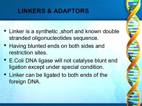 Ligation Of Dna