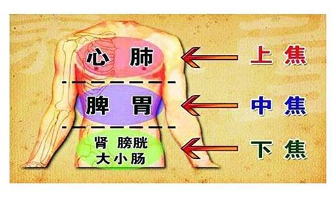 人体五脏六腑的排毒时间表 360新知