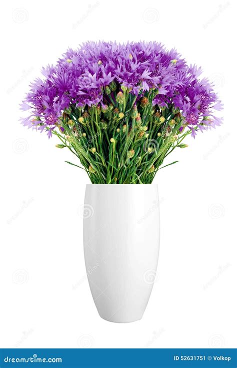 Beautiful Violet Flowers In Vase Isolated On White Stock Image Image