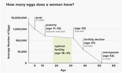 Age And Fertility A Factor Not A Final Verdict