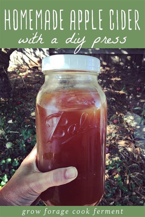 How To Make Apple Cider With A Diy Press Homemade Apple Cider