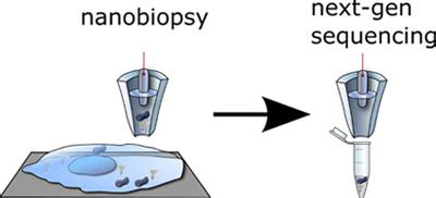 New Technique Allows Nanobiopsies Of Living Cells