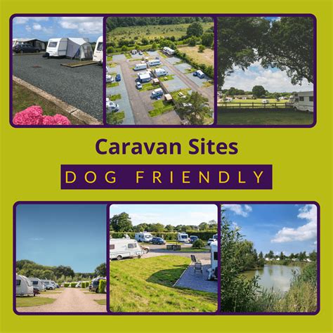 Dog Friendly Caravan Sites - CaSSOA