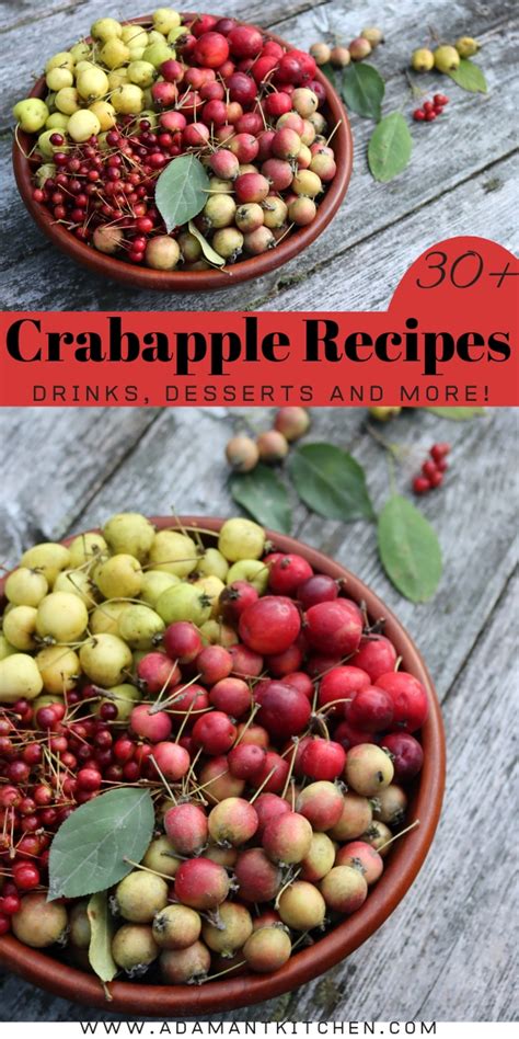 30+ Crabapple Recipes - Adamant Kitchen