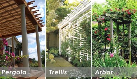 Pergola Trellis Diy