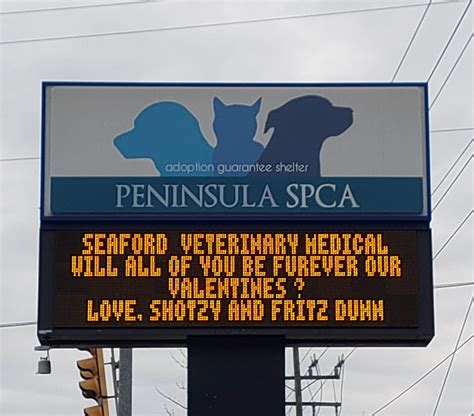 Seaford Veterinary Medical Center - Home | Facebook