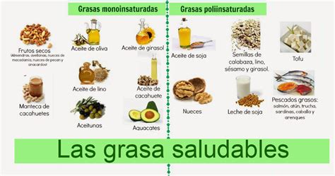 Noticias En Alimentarse Grasas Buenas Por Qué Consumirlas Y Cómo