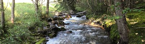 Redstreak Creek Trail British Columbia Canada Reviews Map