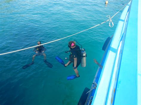 Diving On Koh Tao I See The World And The World Sees Me