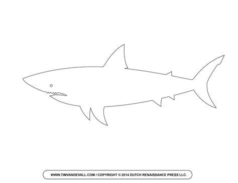 Drawing A Shark Fin – Warehouse of Ideas