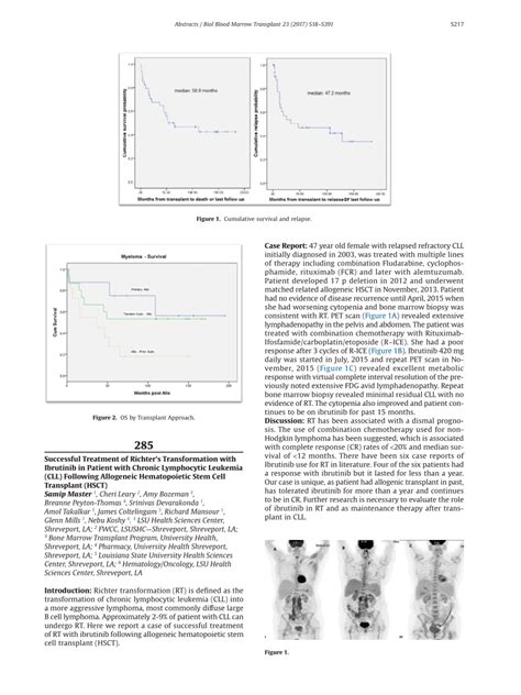 (PDF) Successful Treatment of Richter's Transformation with Ibrutinib ...