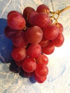 I Tested Ruby Roman Grapes Seeds and Here's Why They're a Must-Have for ...