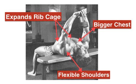 Pullovers Exercise To Build Chest And Back Muscles