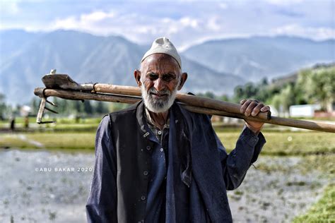 abu bakar insearchpk