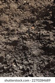 top view ground texture background natural stock photo