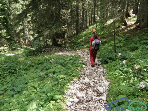 Planina Blato Ogradi čez planino Krstenica Slika 284805