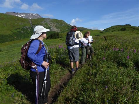 Alaska's Kenai Peninsula Hiking Tour | Timberline Adventures