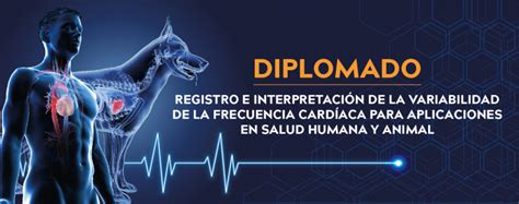 Diplomado Registro E Interpretación De La Variabilidad De La Frecuencia Cardiáca Para