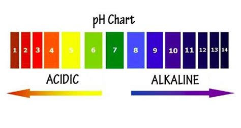 Cómo medir el pH del cuerpo 5 pasos