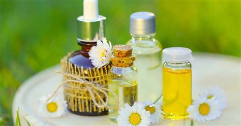 Is Jojoba Oil Good For Low Porosity Hair? - Curls and Cocoa