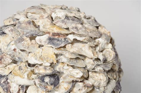 giant decorative shell ball nikki page antiques