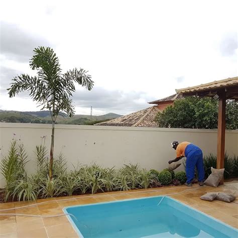 Melhores Plantas Para Piscinas E Inspira Es De Jardins