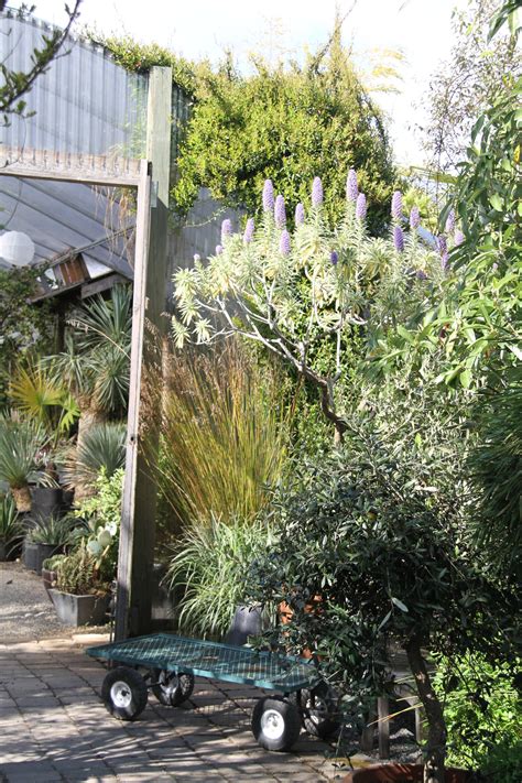 Retail Nursery – Cistus Nursery
