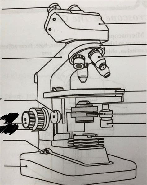 Compound Microscope Diagram Quizlet