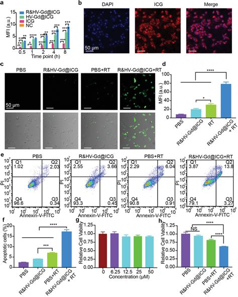 Nanoprobe Synthesis And Characterization TEM Images Of A SiV And B