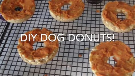 Diy Donut Dog Treats Youtube