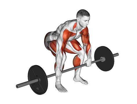 Barbell Power Cleans Benefits Muscles Worked And More Inspire US