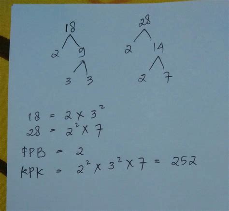 Fpb Dan Kpk Dari 18 Dan 28 Menggunakan Pohon Faktor Id